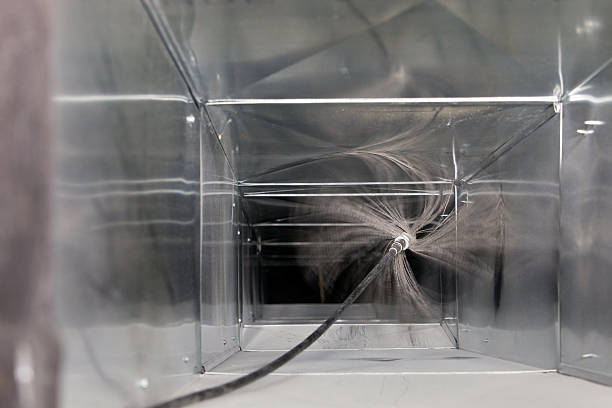 Air Duct Mold Removal in Port Carbon, PA
