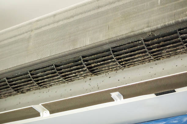 Best HVAC Air Duct Cleaning  in Port Carbon, PA